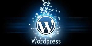 best-free-wordpress-themes_0_1